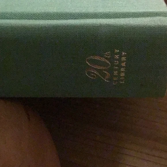 The Age of Innocence - Picture 3 of 9